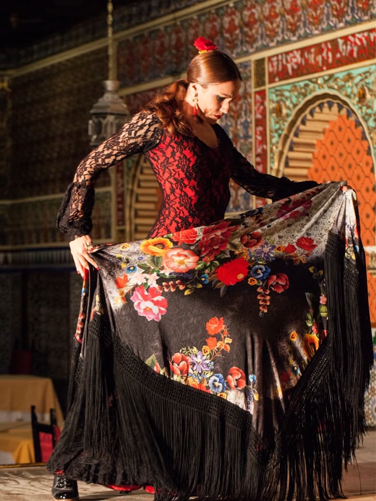 Madrid Walking Tour & Flamenco Show