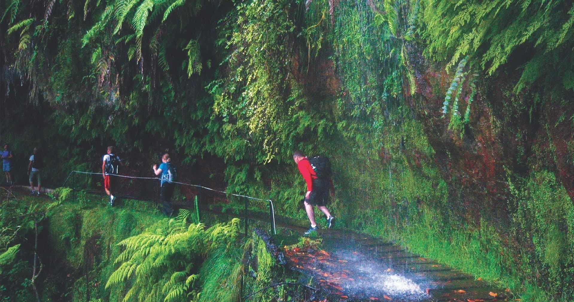 Levada do Rei