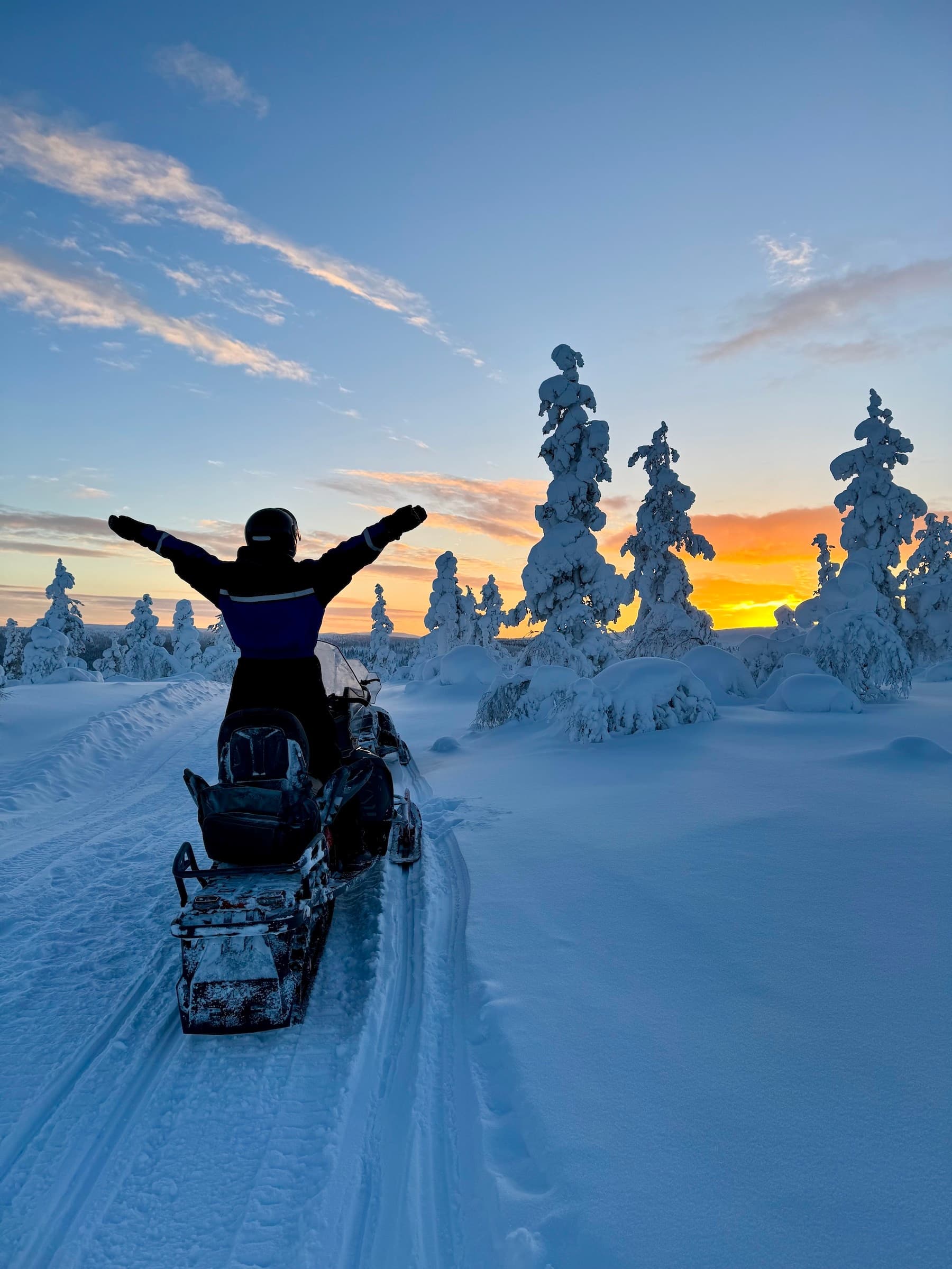 3h snowmobile tour