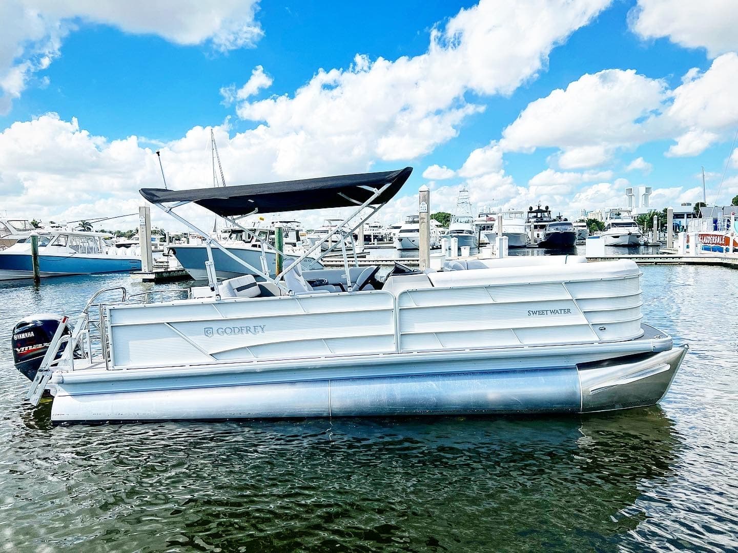 Great White : Pontoon
