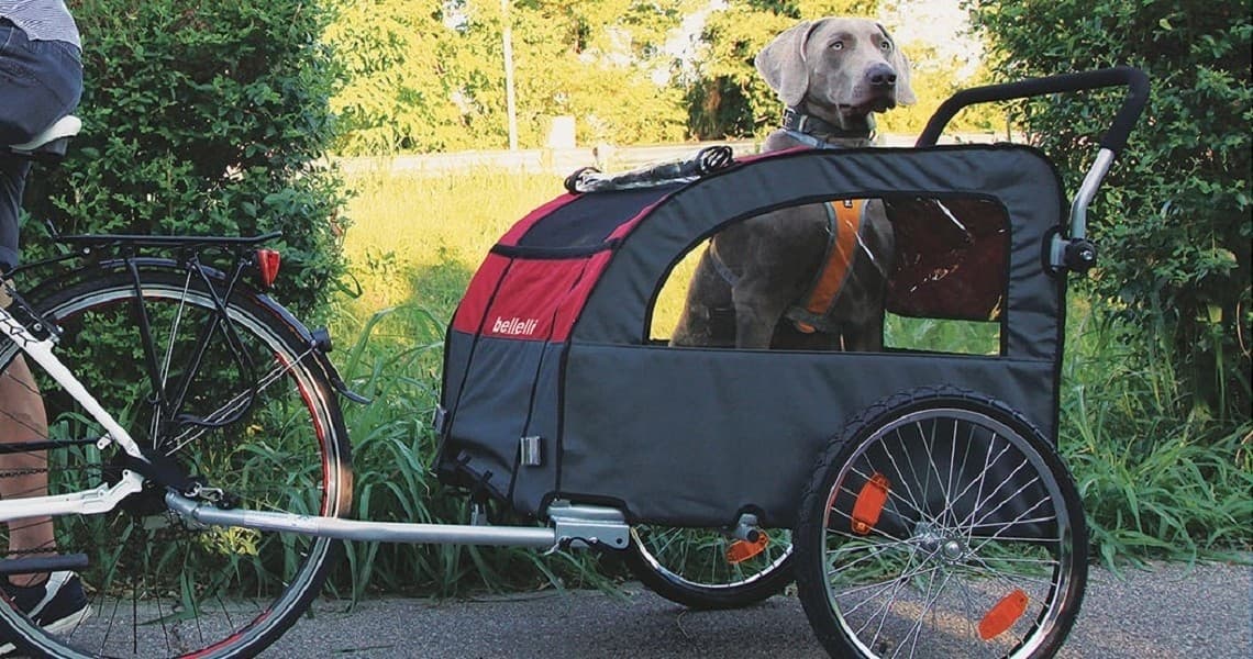 Carrello Per Cani