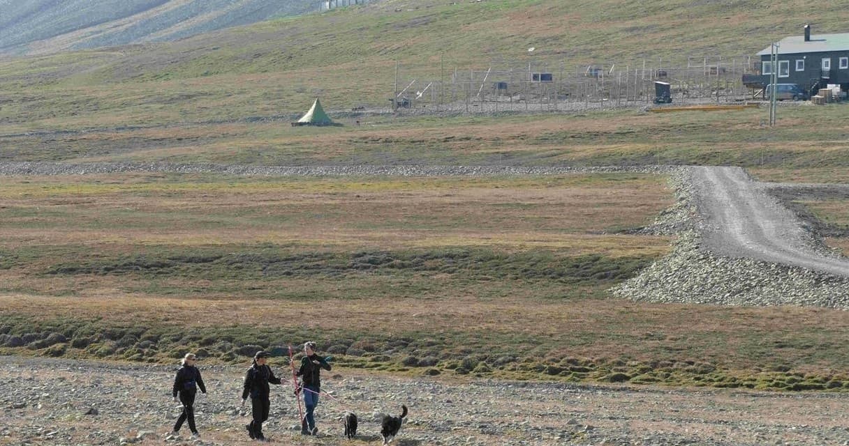 3 hours Drive & Stroll: Exclusive tailor-made sightseeing of Longyearbyen and its surroundings