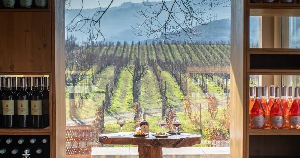 Lamego Walking Tour & Wine Tasting