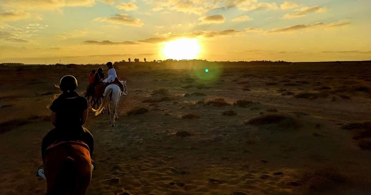 Horse Excursions Salt Flats Trail, Kite Beach, & Sand Dunes Trail