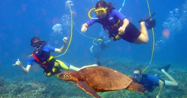 West Side Morning Dive-Ka’anapali, Lahaina & Kapalua