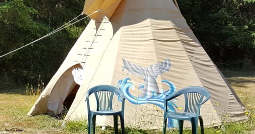 Whale Tail Fire Teepee for 4