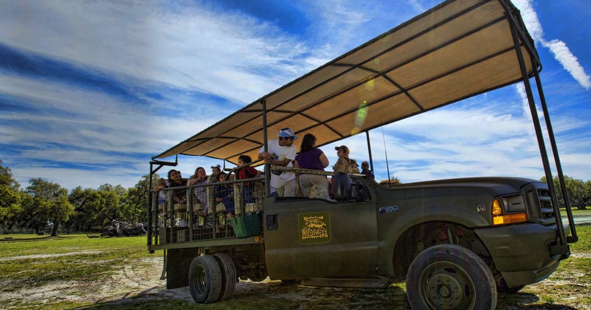 Custom Vehicle Safari Tour