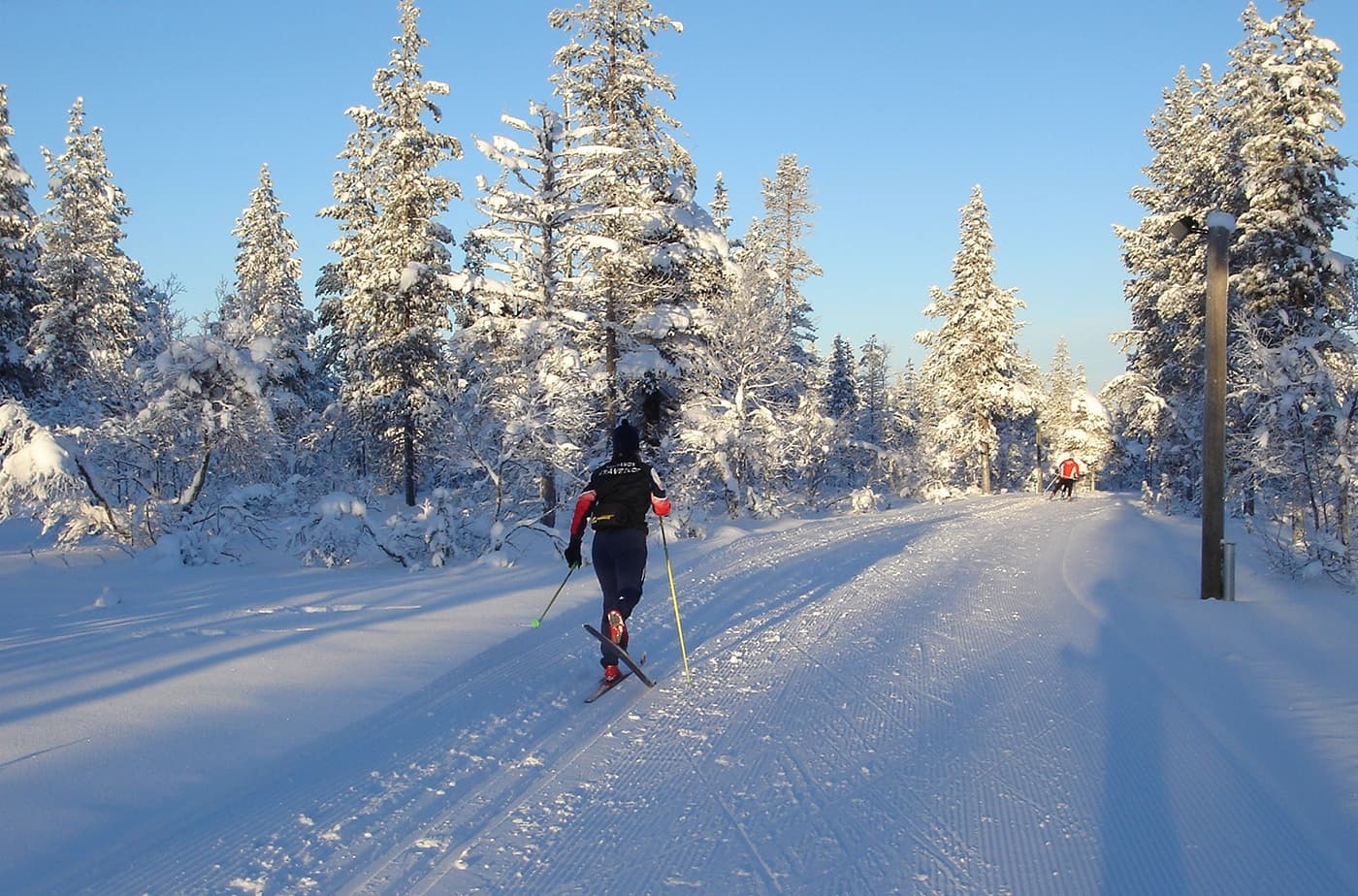 Cross-country skiing school 1,5 h