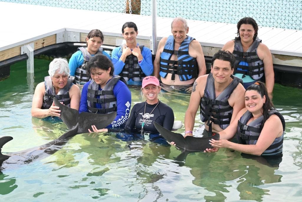 Dolphin Encounter