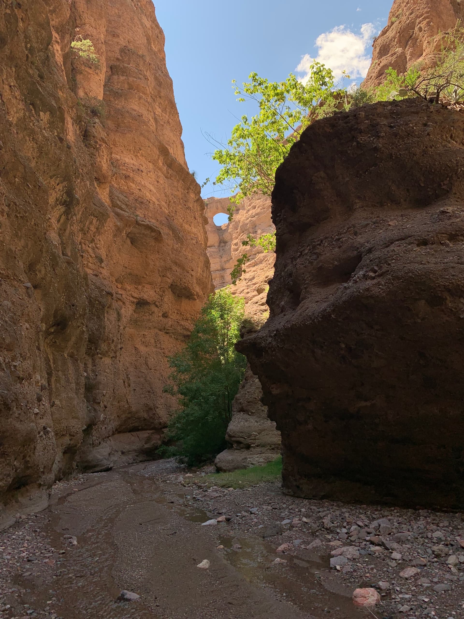Aravaipa Canyon