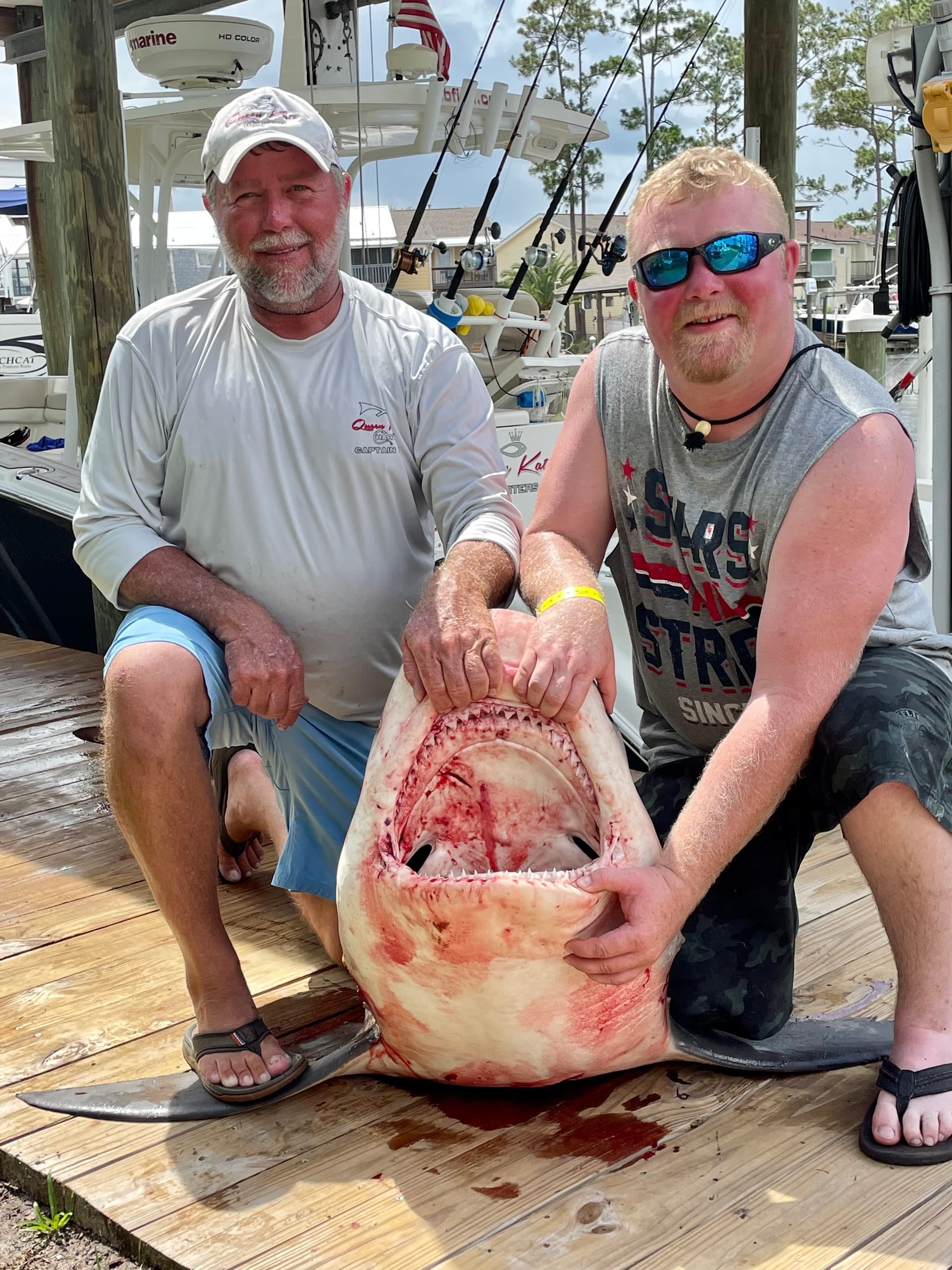 Shark Charters