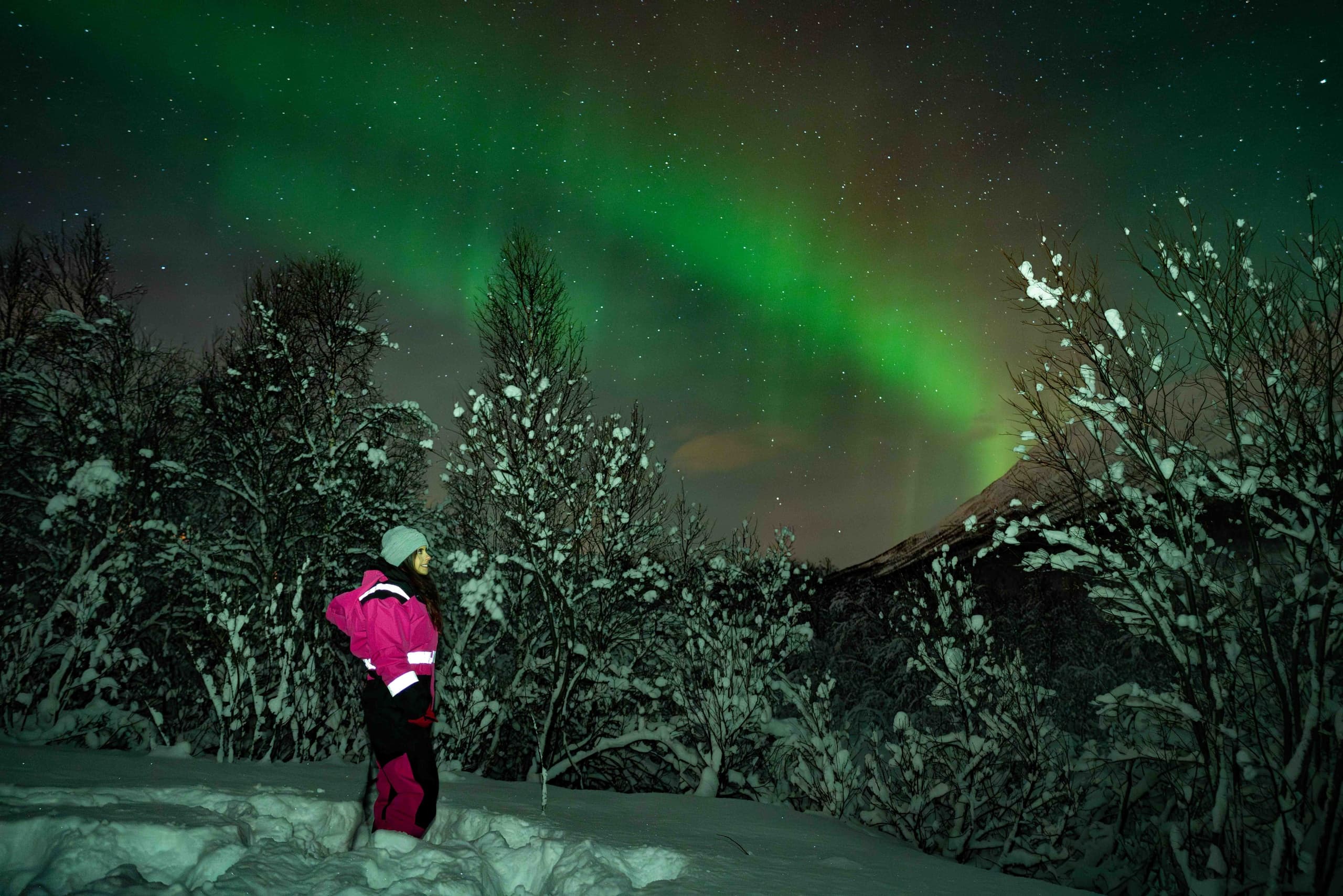 Aurora Tour with Campfire • Photos and Hotel Transfer