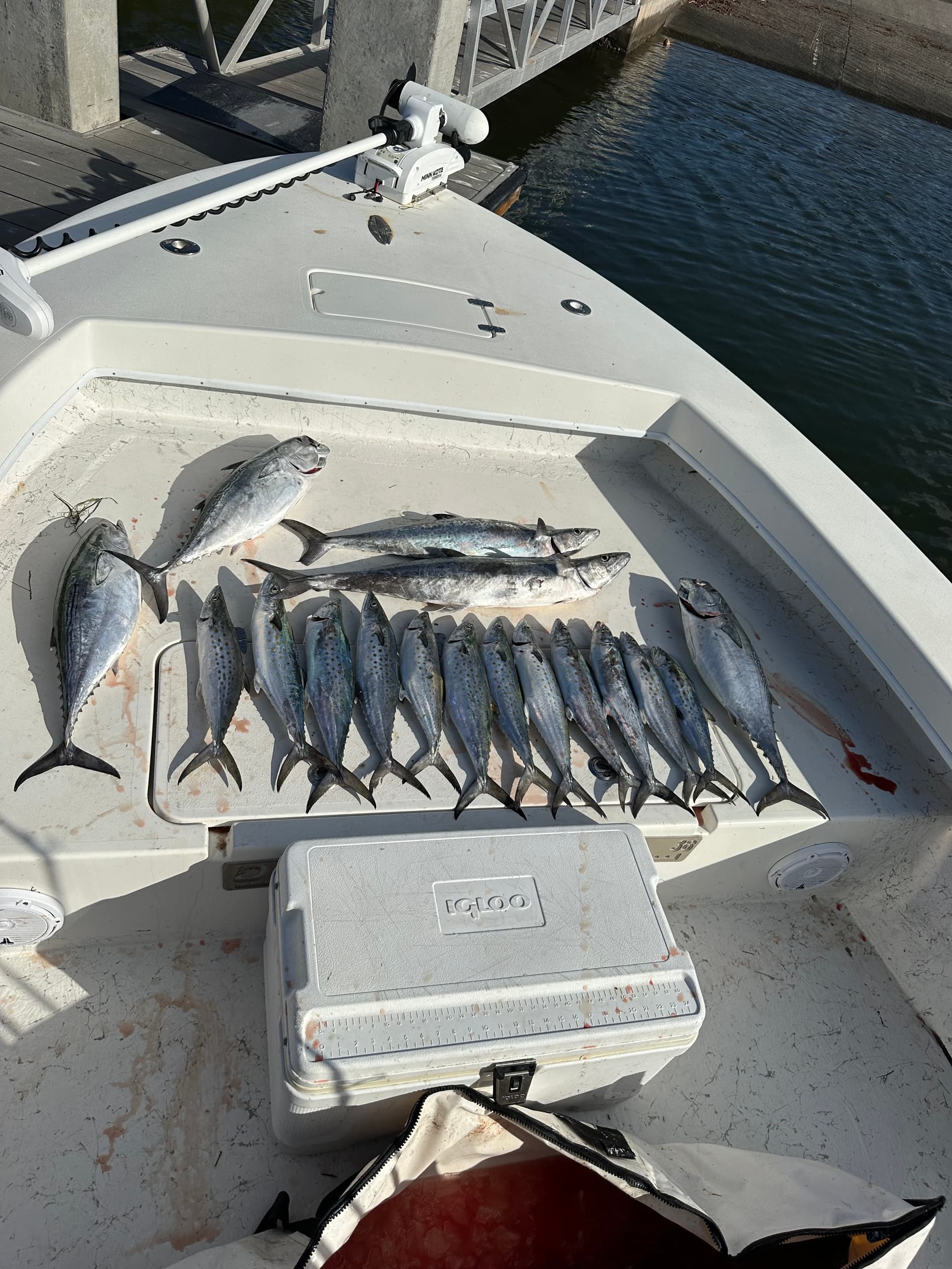Native Nearshore Meat Trip • 8 Hour