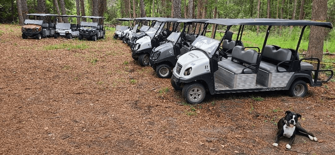 6-Seater Golf Cart Rentals