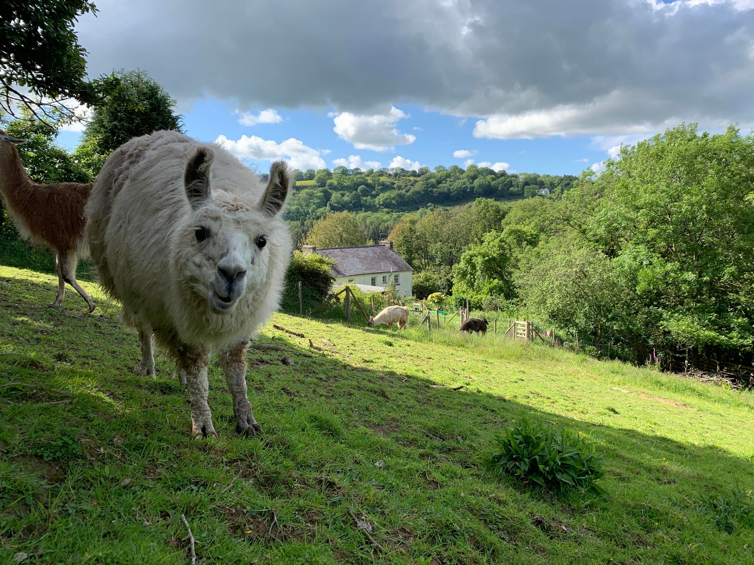 Stay on our Farm