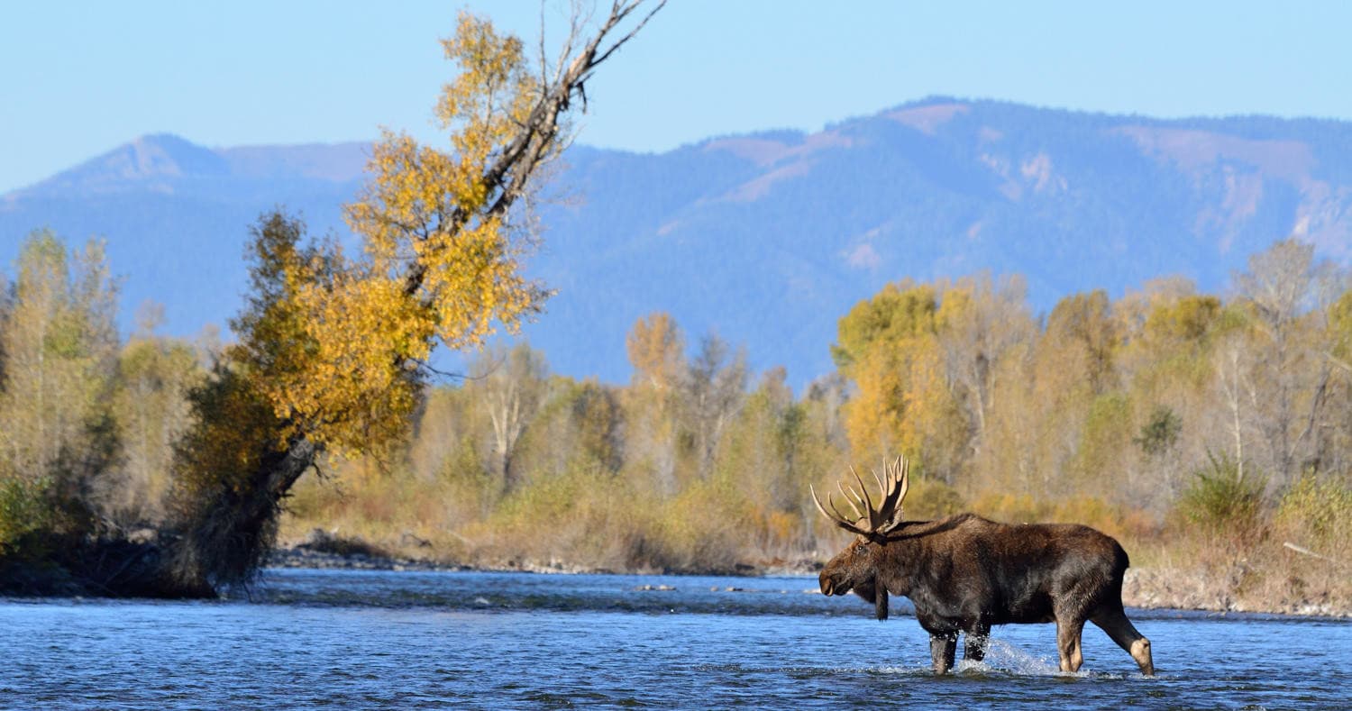 Grand Teton Tour