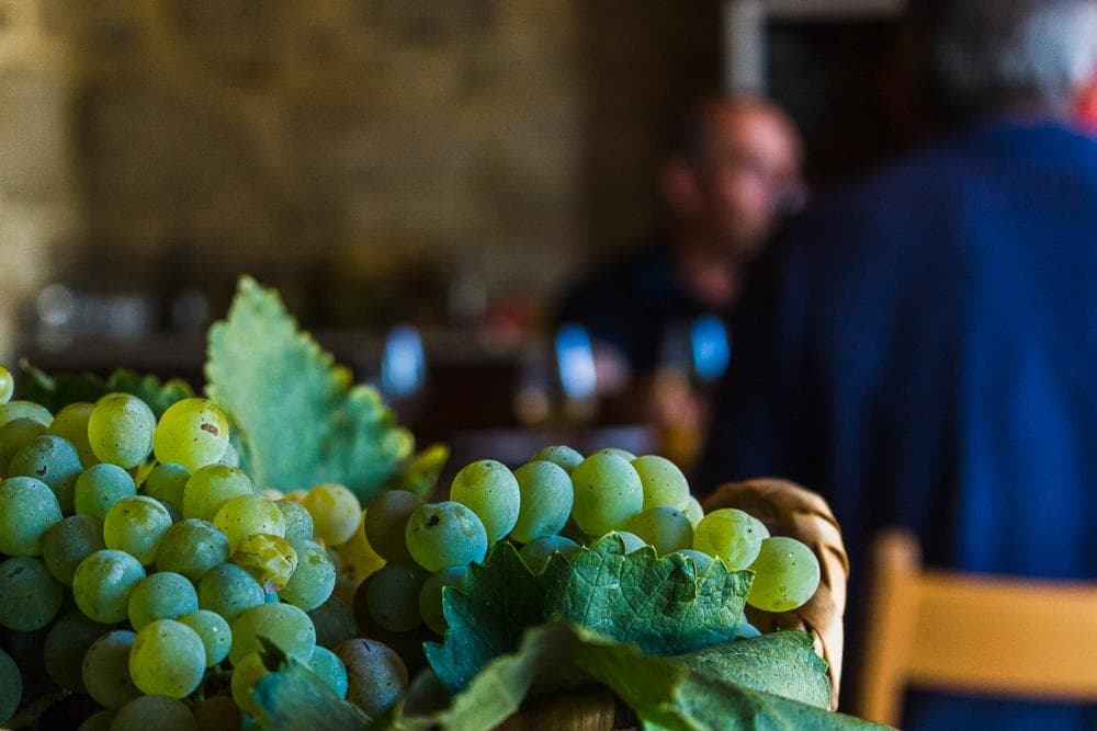 Workshop de Vinhos Verdes