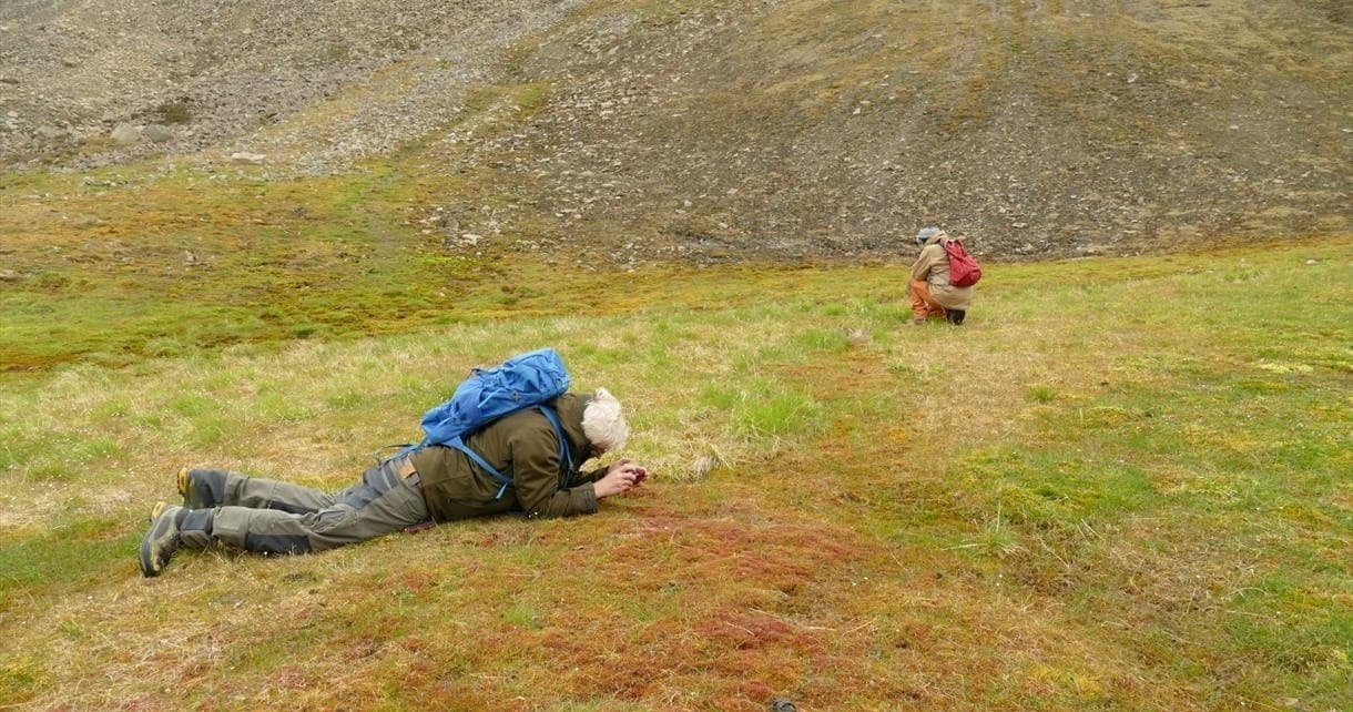 Easy Hike and Wildlife: The guide's choice • 4-5 hours