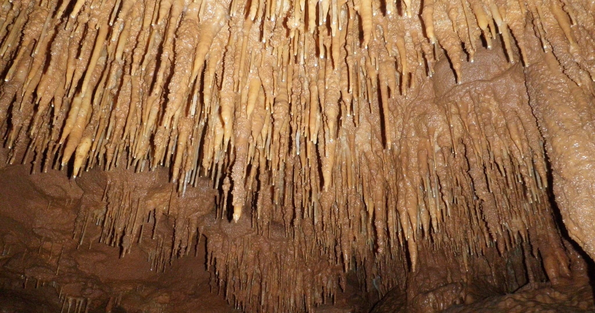 Large Group Cave Tour (20+)