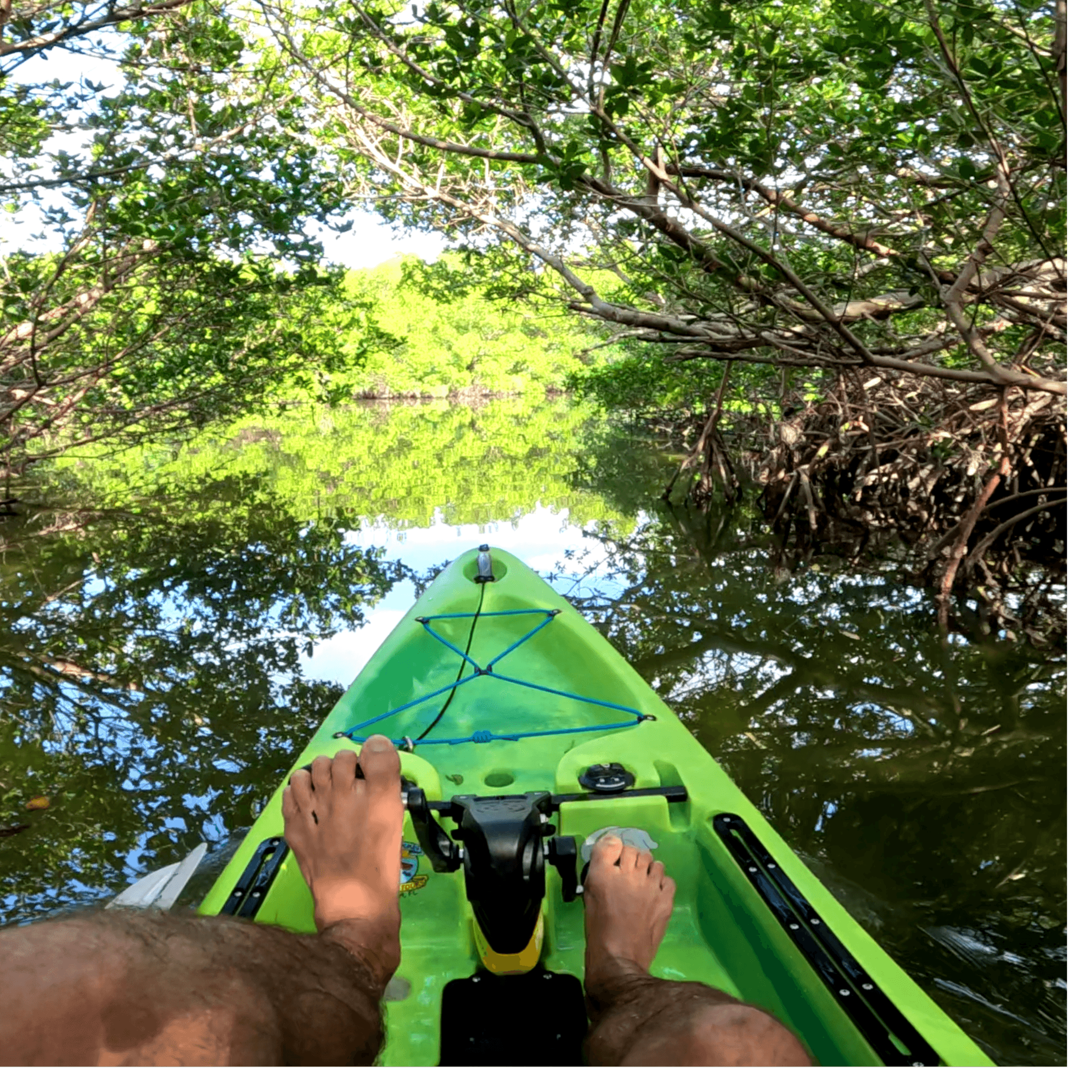 Anna Maria Mangrove Trail Pedal Kayak Tour
