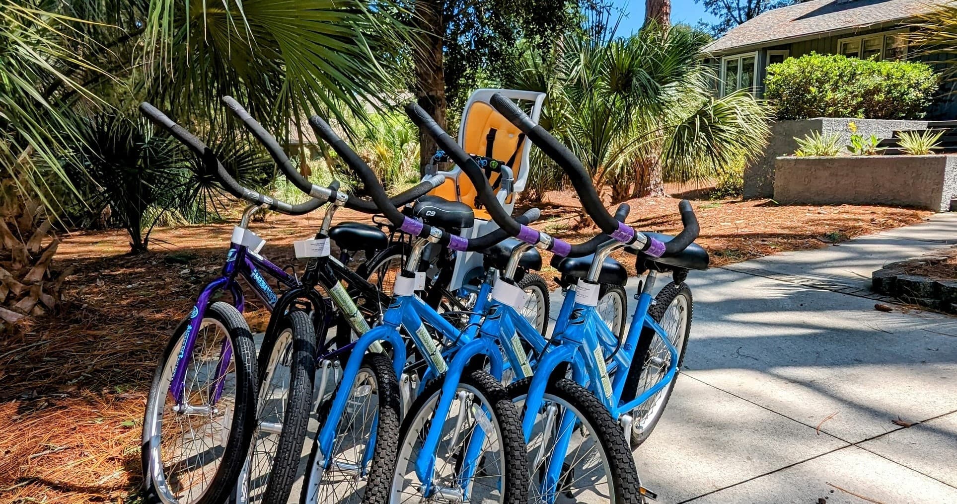 11 Day Rental