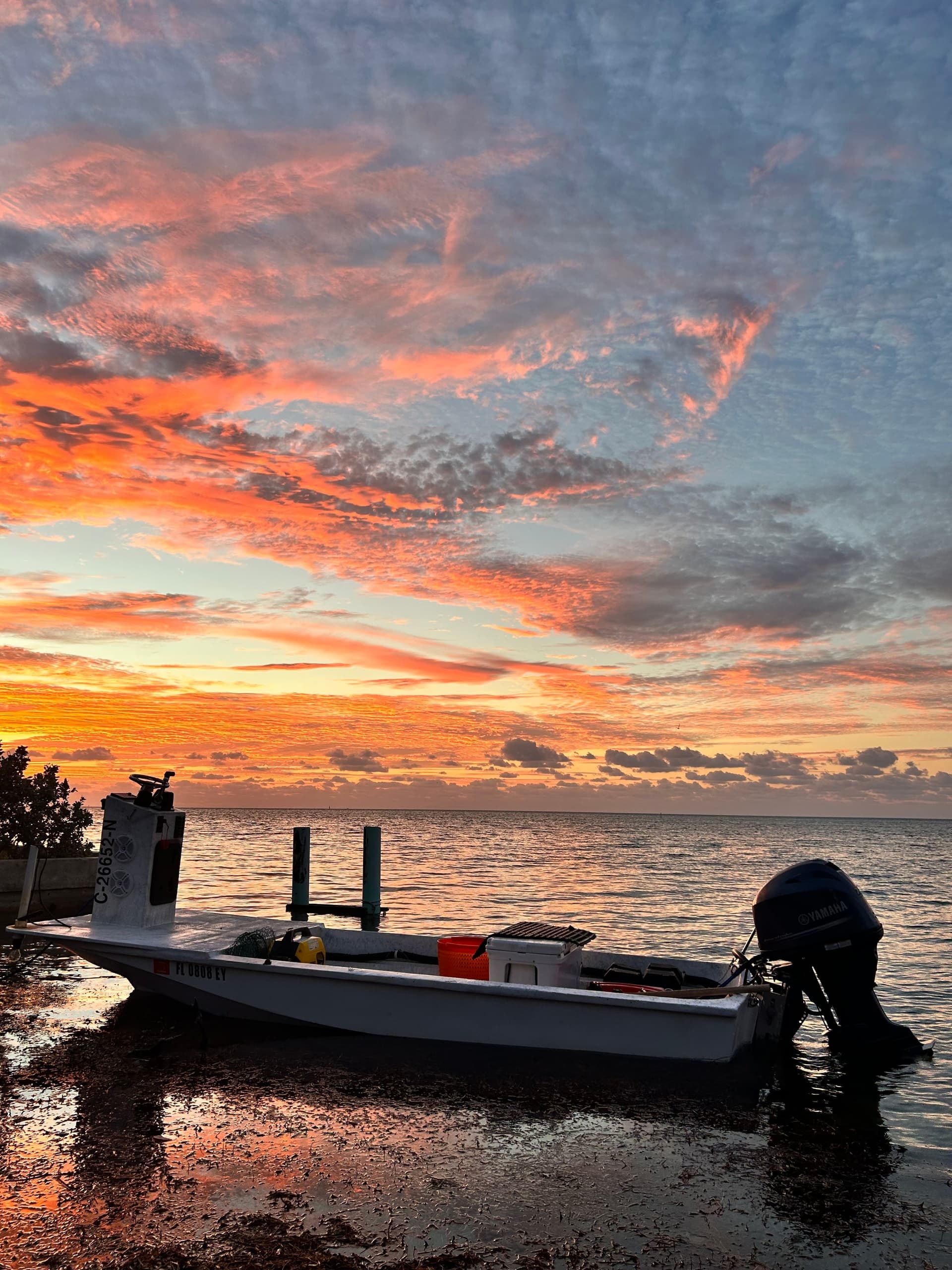 Night Lobster Charter