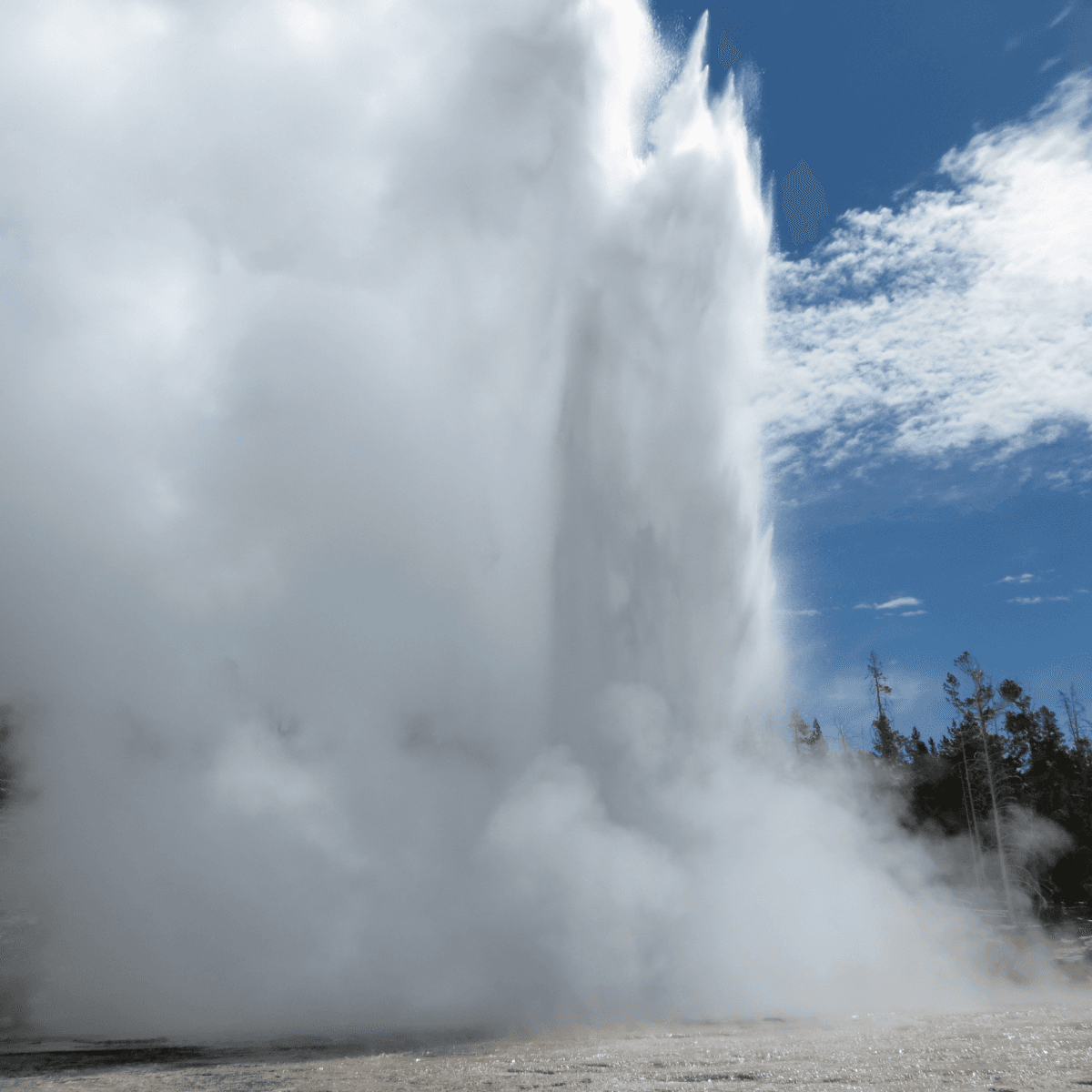 Public Hot Spring & Geyser Basin Tour