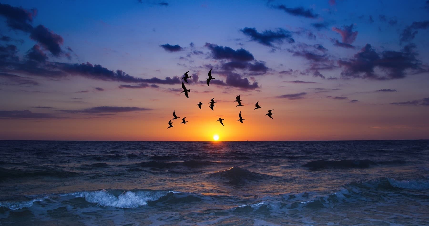 Sunset Cruise