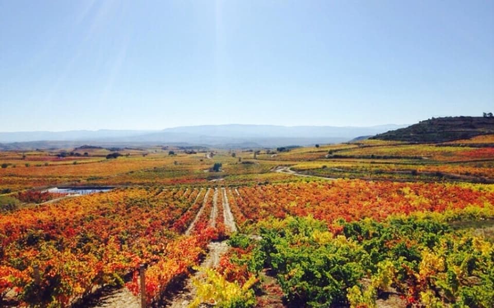 Rioja Alavesa en Helicóptero
