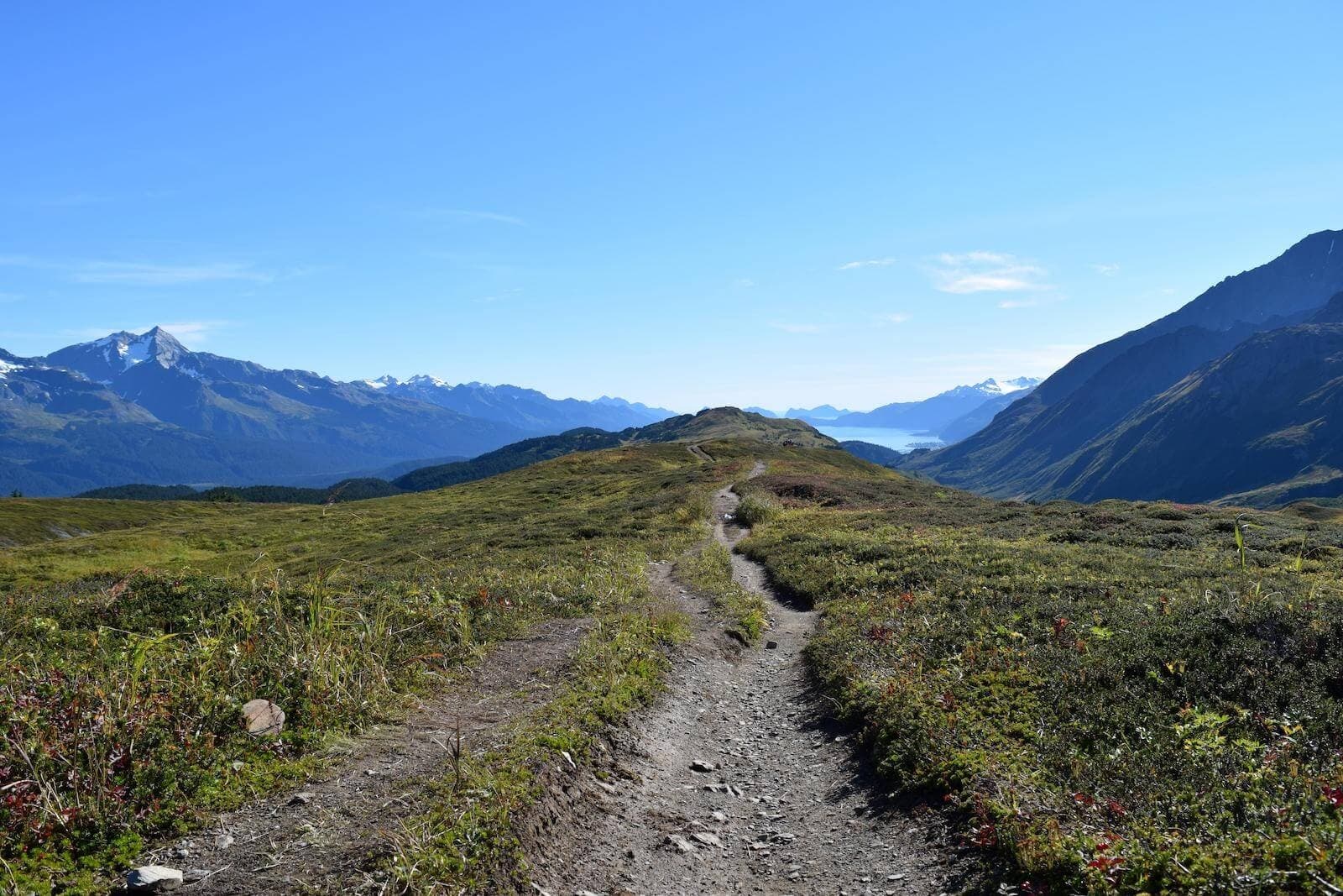 Lost Lake Trail Hiking Adventure