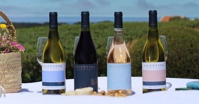Zambujeira do Mar Wine Tasting - 4 Wines