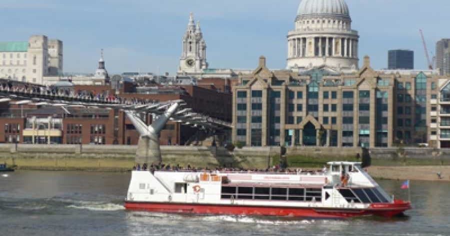 Sightseeing Cruise