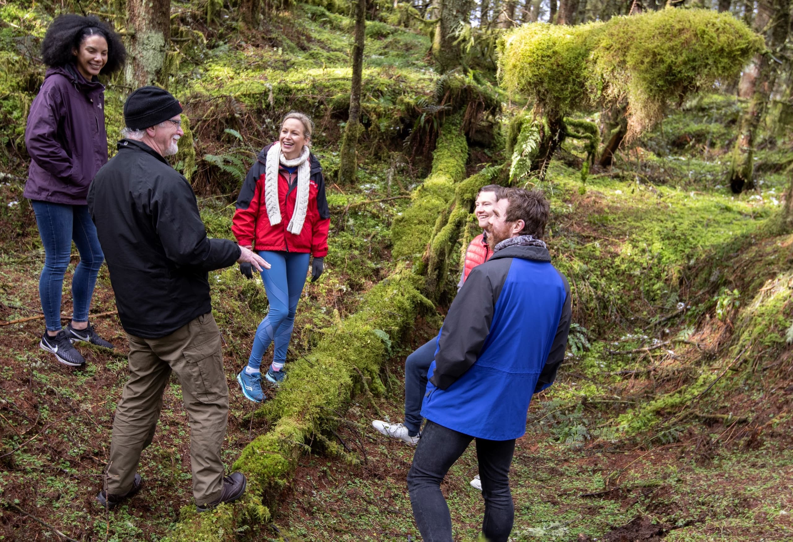 The Ecology and Mythology of a Celtic Rain Forest