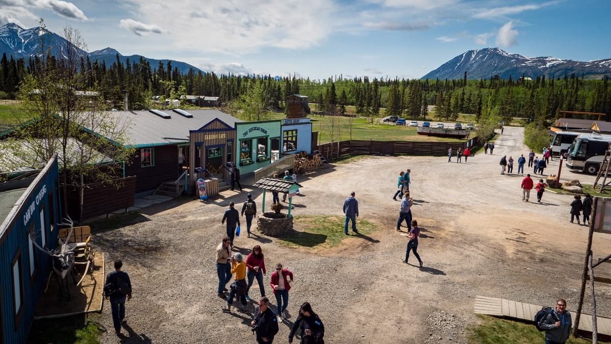 Wild Adventure Yukon Full Day Excursion w/ Emerald Lake! (Caribou Crossing)