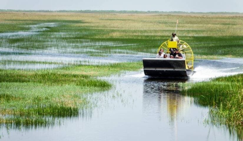 Visite des Everglades en français