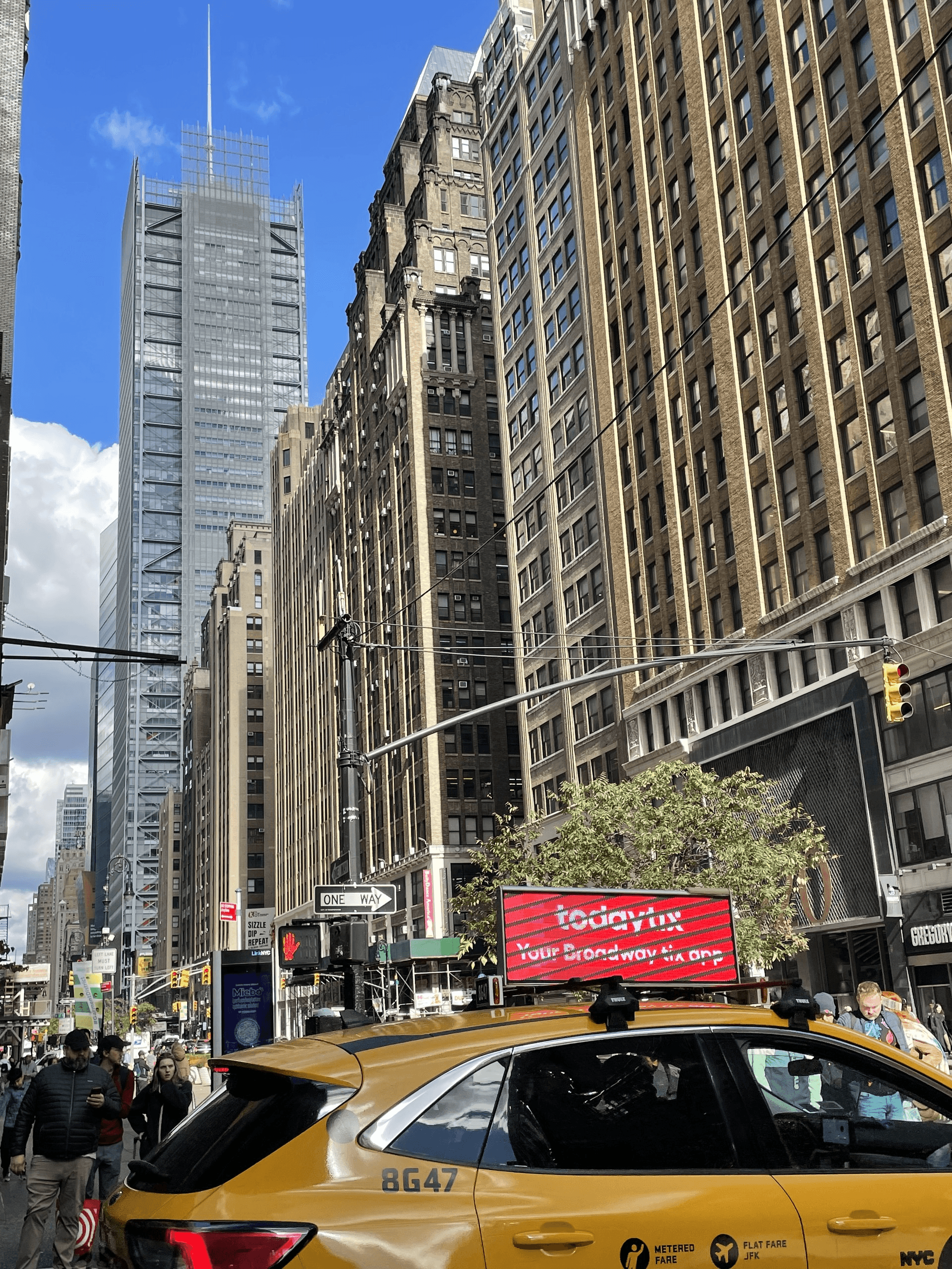 Tour privato di NYC con trasporto - 6 ore