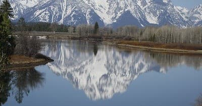 Grand Teton Half-Day Van Tour