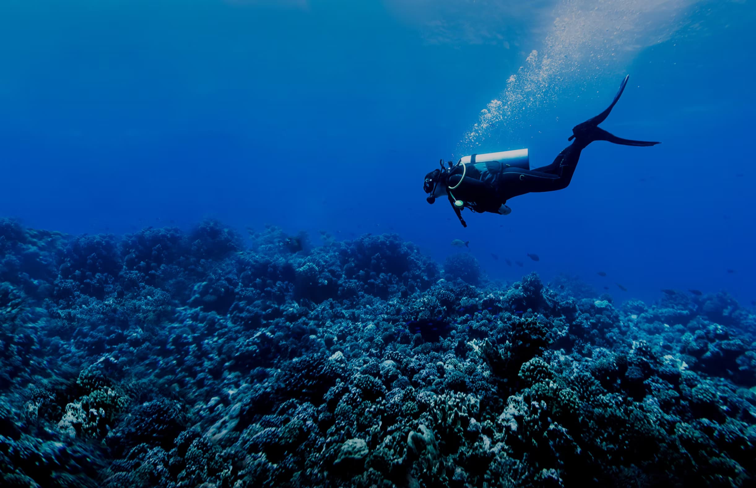 Open Water Certification