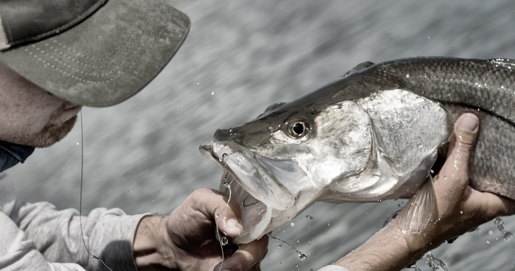 Inshore Fishing