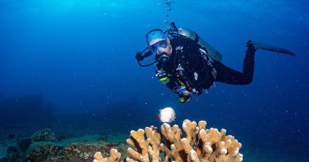 PADI / SSI Open Water Referral