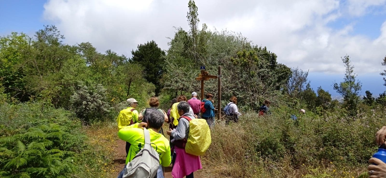 Ruta por la Laurisilva y Cata de Sidra Canaria