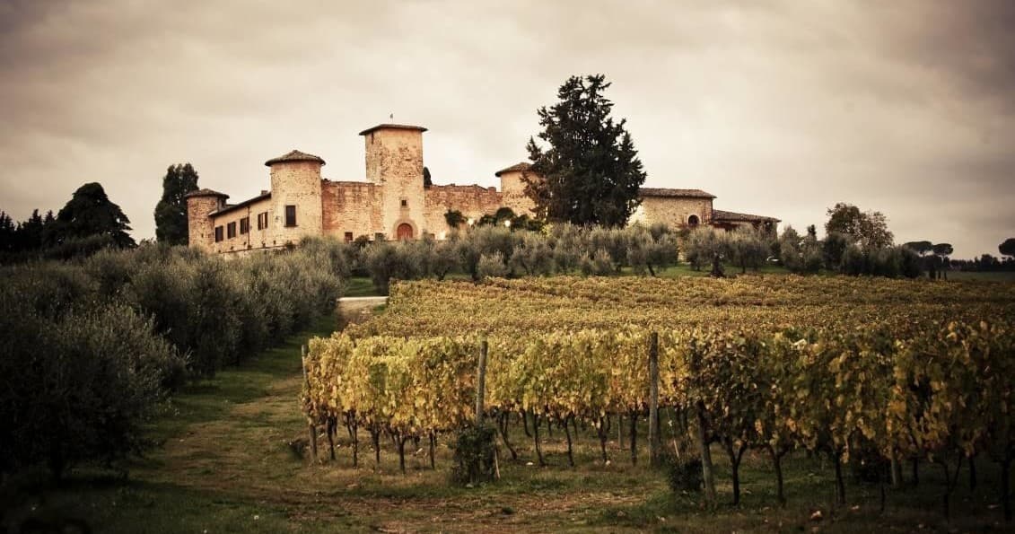 Supertuscan Wine Tour - Masterclass by a Wine Expert