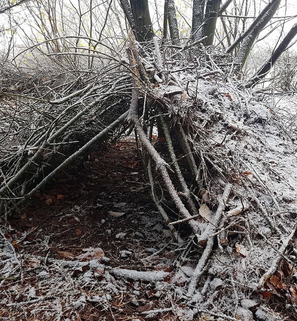 Shelter Building & Survival