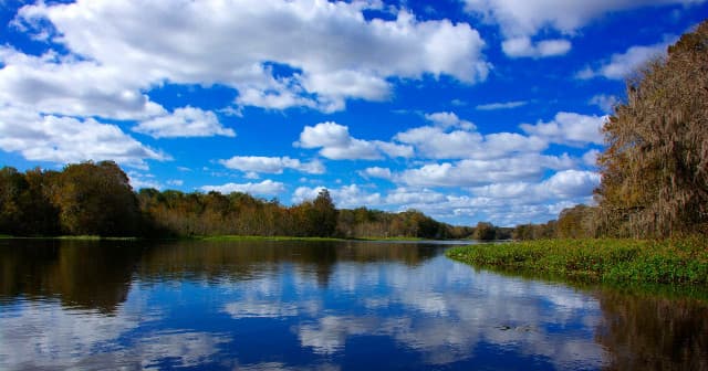 One Hour Public Airboat Tour