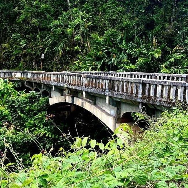 Private Halfway to Hana Tour