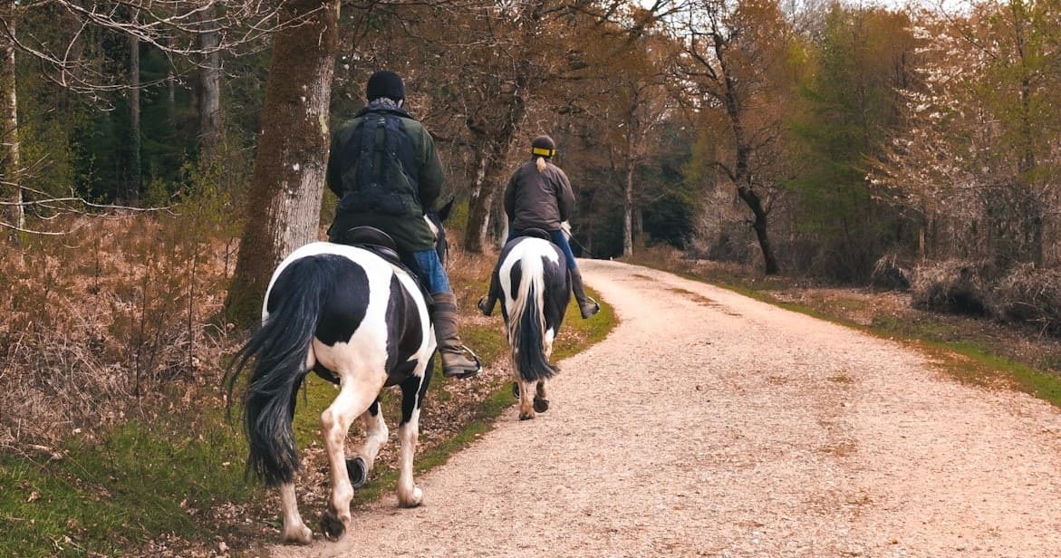 One Hour Private Riding Lessons