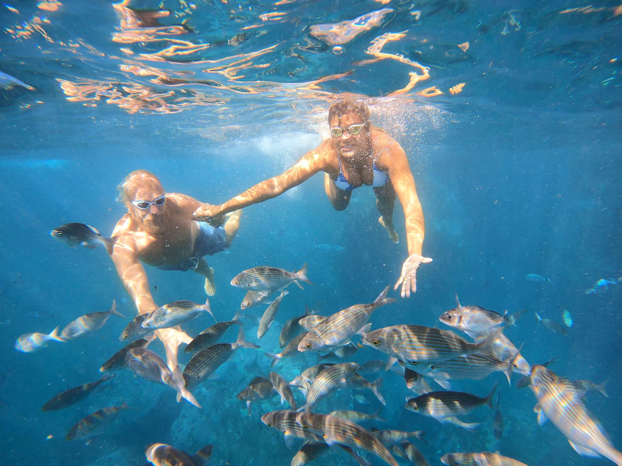 Open Water Swimming Baptism