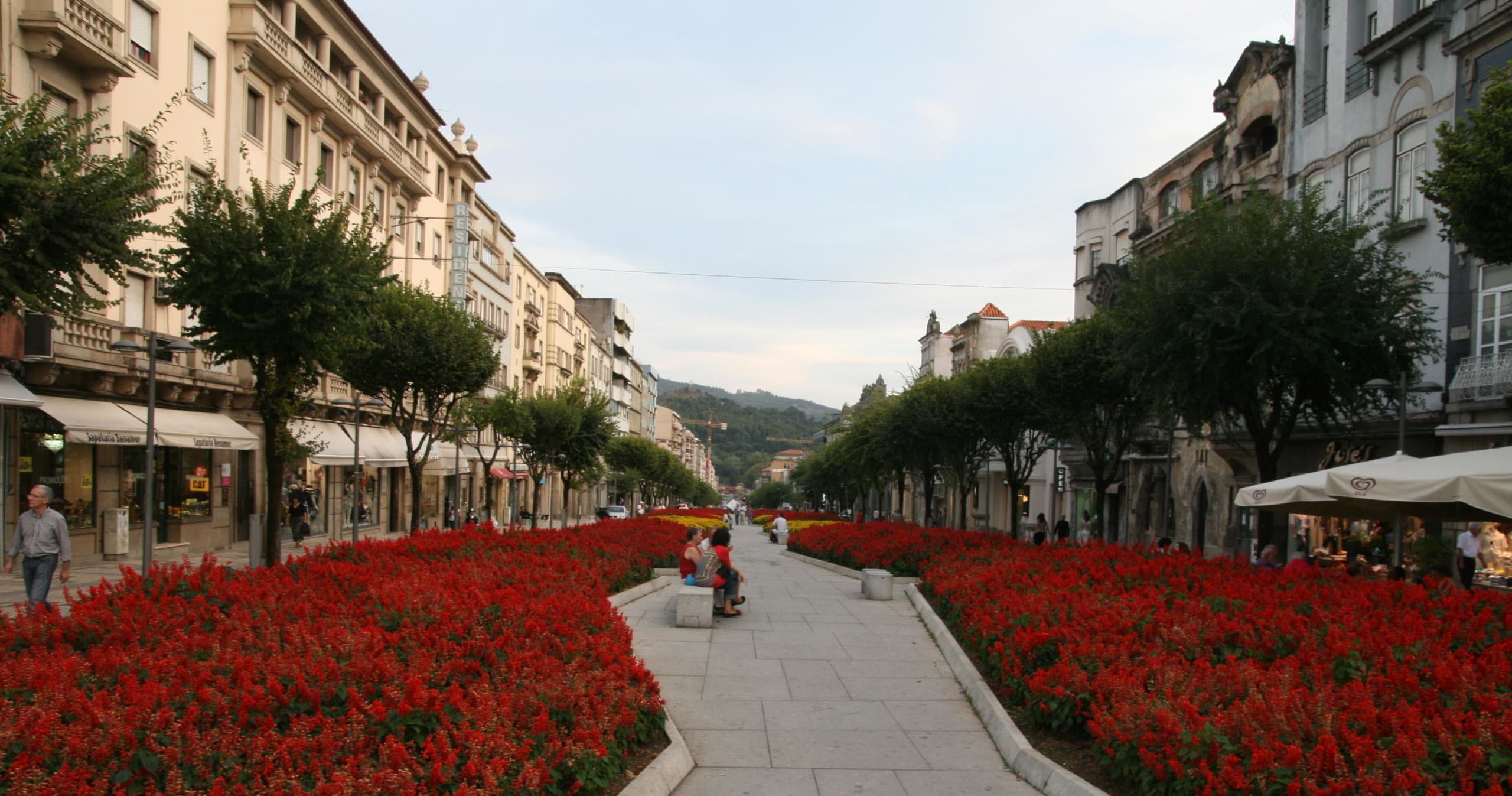 Braga and Guimaraes Private Tour from Porto