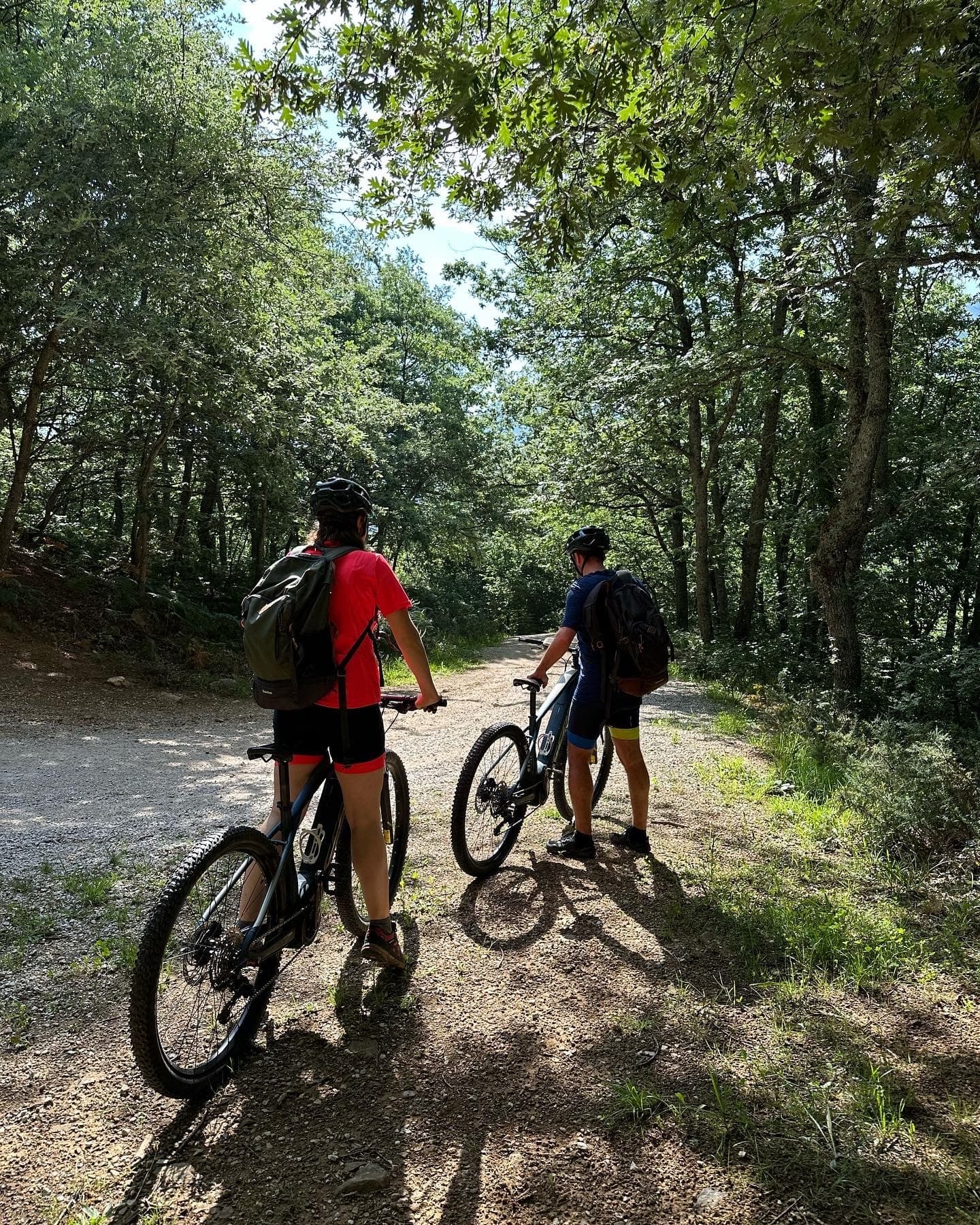 Alquiler de bicicletas de Montaña Eléctricas en Picos de Europa