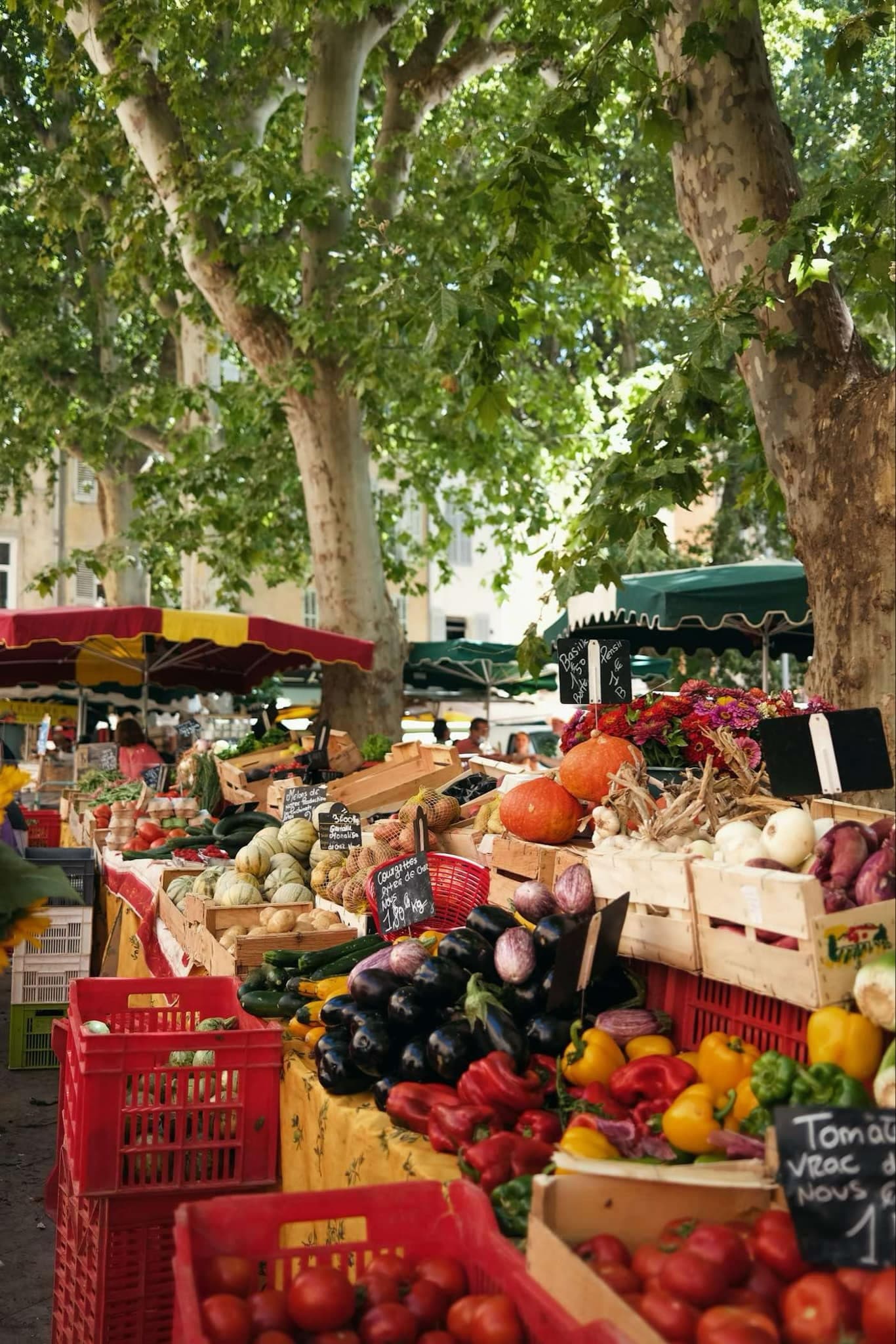 Aix Food Tour